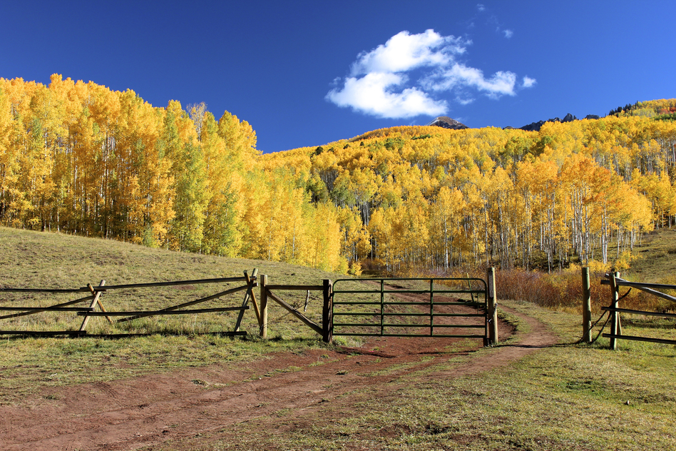 photodune-5768835-horse-park-ranch-in-the-fall-s