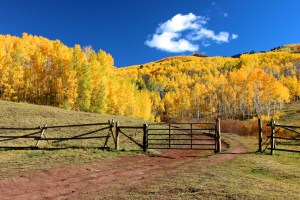 photodune-5768835-horse-park-ranch-in-the-fall-s