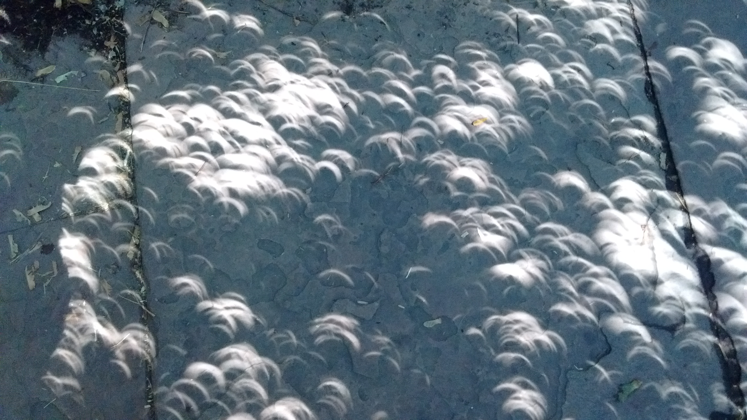 IMG_20170821_114830694