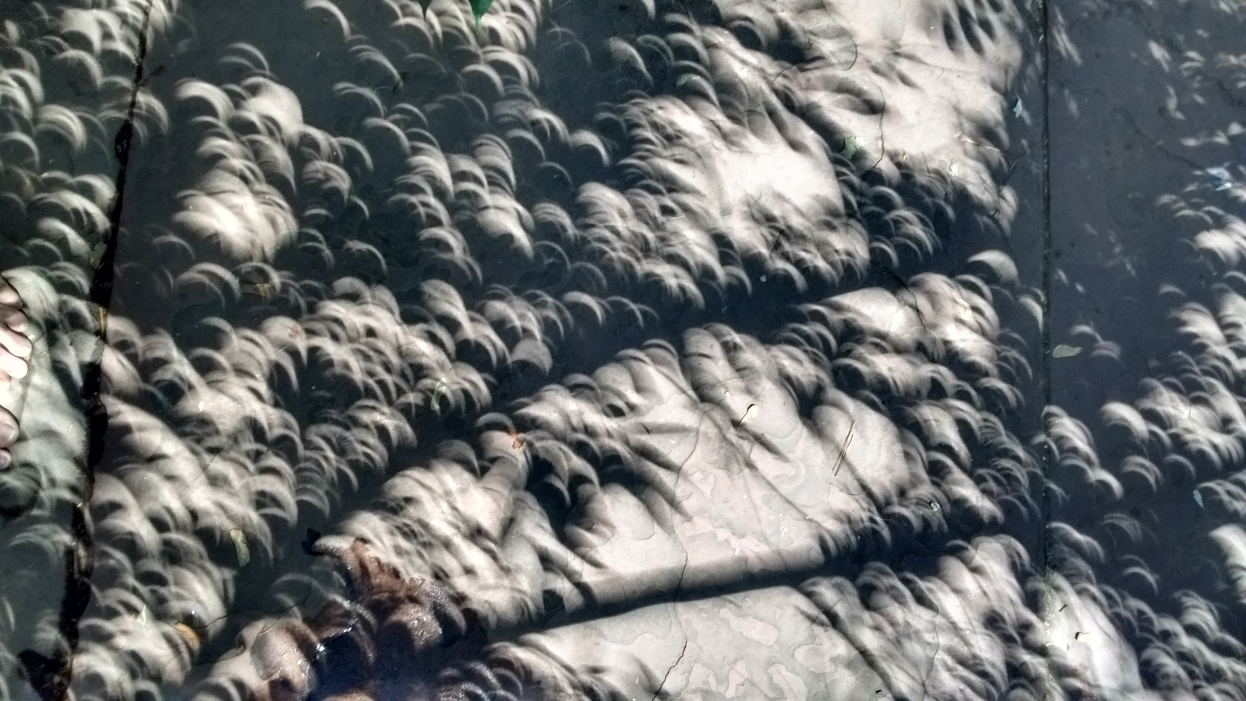 IMG_20170821_114840629_HDR