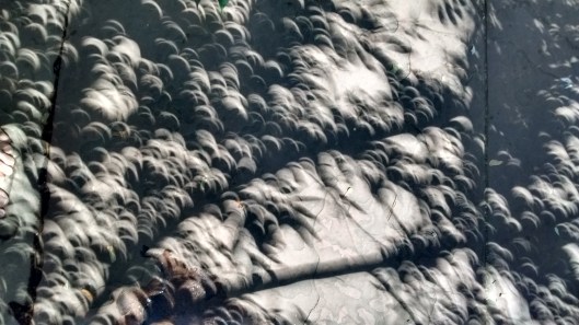 IMG_20170821_114840629_HDR